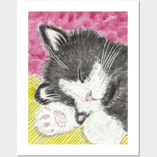 Sleeping kitten cat Posters and Art